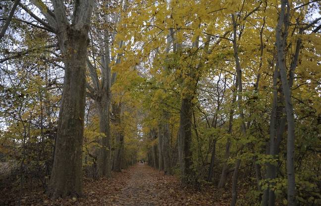 Doubs : Un adolescent à vélo blessé par un câble tendu entre deux arbres