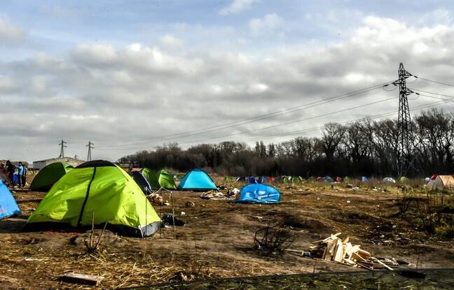 Calais : Un routier légèrement blessé après une tentative d’intrusion de migrants sur le port