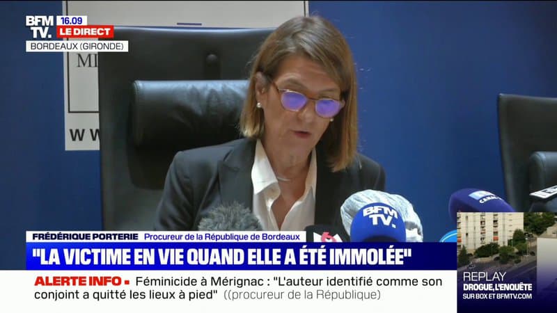 Féminicide à Mérignac/Procureur de Bordeaux: “Interrogé sur les armes (…) le mis en cause a indiqué les avoir acquises auprès de clandestins croisés en ville”