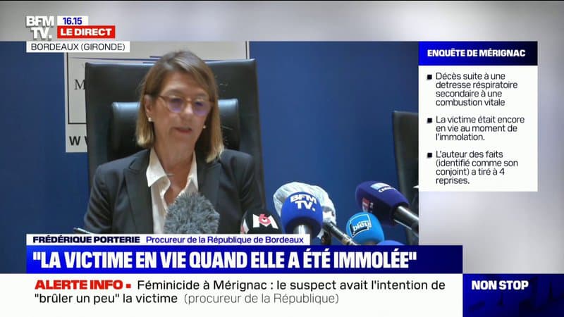 Féminicide de Mérignac: le casier judicaire de l’ex-conjoint de la victime fait état de 7 condamnations