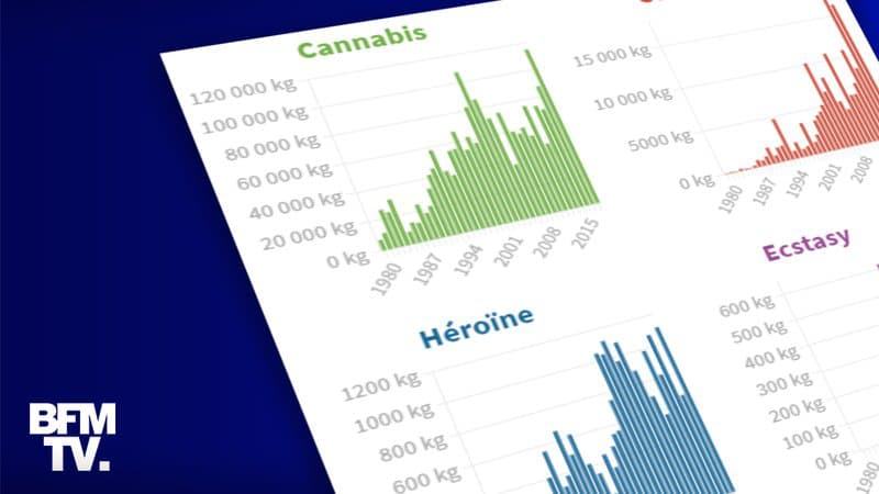 INFOGRAPHIE. Revenus, consommation, emplois… Les chiffres du trafic de drogues en France