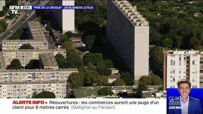 “PME de la drogue”: un business juteux