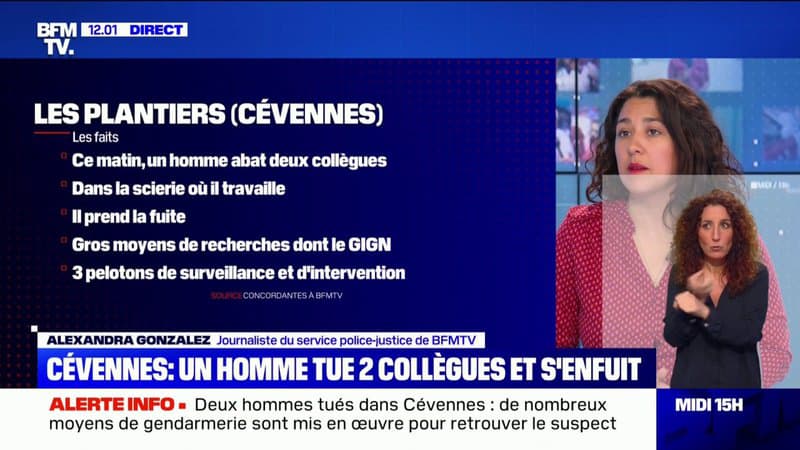 Un homme en fuite a tué deux de ses collègues d’une scierie dans les Cévennes