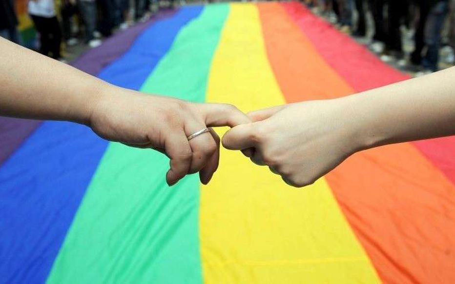 La Hongrie veut interdire la promotion de l’homophobie auprès des mineurs