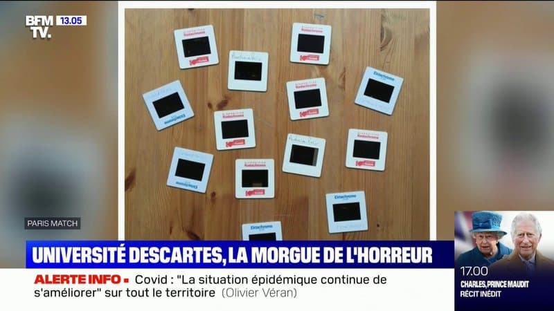 Des photos révèlent que le charnier de l’Université Paris-Descartes existait déjà en 1988