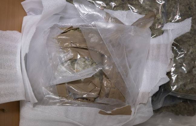 Seine-Saint-Denis : 21 kg de cannabis saisis à Saint-Denis