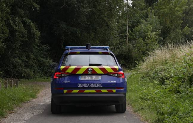 Gironde : Les habitants de Saint Estèphe invités à rester chez eux, un homme instable et armé recherché par la gendarmerie