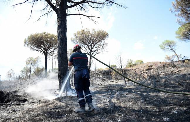 Incendie dans le Var : 400 pompiers toujours mobilisés