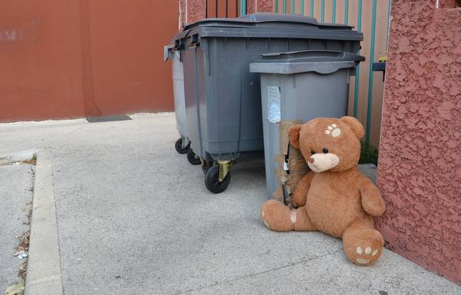 Dordogne : Sept chiots retrouvés dans un container à ordures