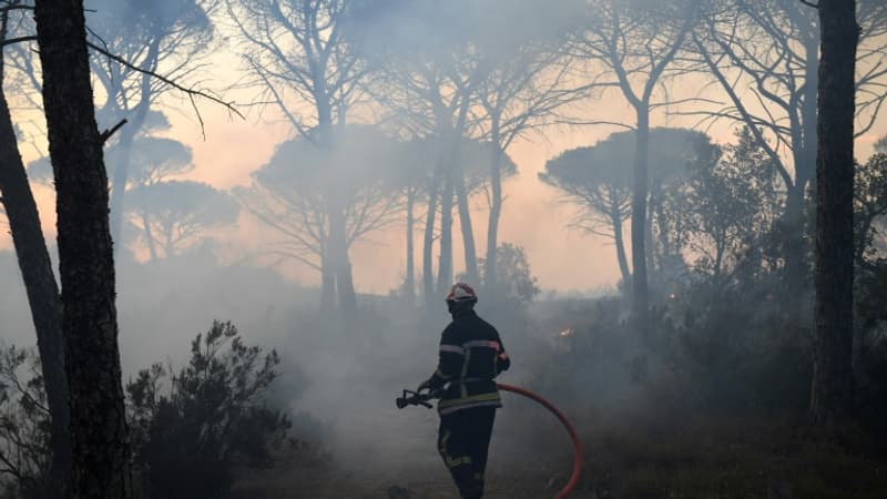 Incendies dans le Var: comment mène-t-on l’enquête pour trouver l’origine d’un feu?