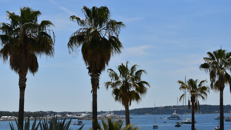 Les gendarmes mettent fin à une fête nautique sauvage de 50 bateaux dans la baie de Cannes