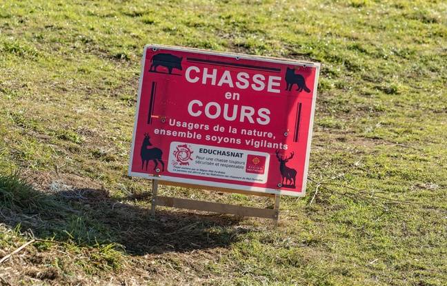 Var : Le chasseur blessé par balle lors d’une battue aux sangliers est décédé