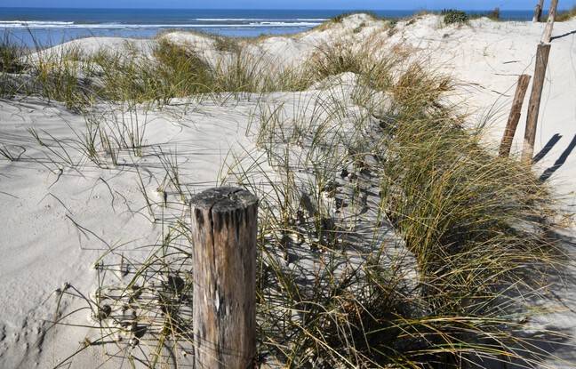 Finistère : Des dunes endommagées lors d’une fête de fin de saison des nageurs-sauveteurs