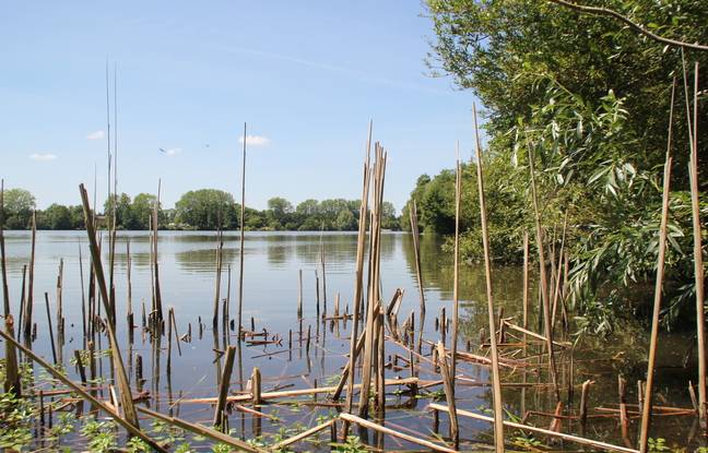 Rennes: Le Turc de 29 ans retrouvé au fond d’un étang aurait reçu une centaine de coups de couteau