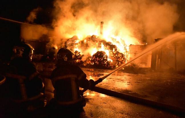 Nantes : Incendie dans un centre équestre, 80 chevaux sauvés des flammes