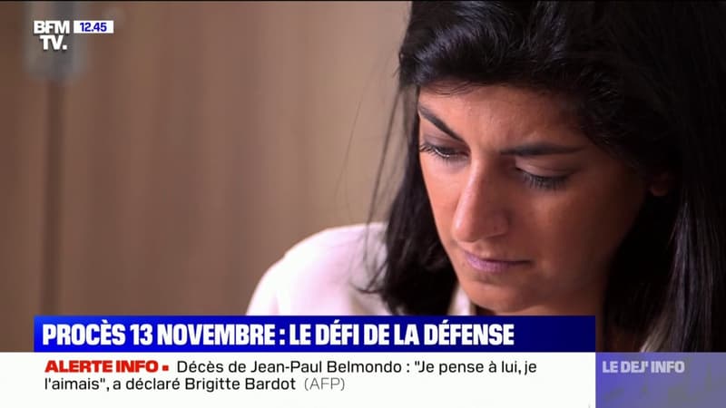 Procès du 13-Novembre: le défi de la défense