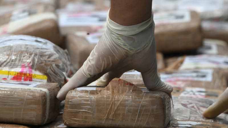Opérations, interpellations, quantités saisies: les chiffres 2021 de la lutte contre le trafic de drogue