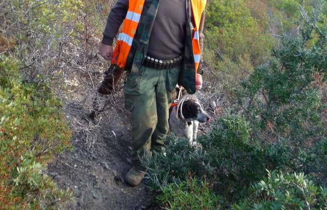 Alpes-Maritimes : Des coups de feu en pleine ville lors d’une battue aux sangliers, des habitants choqués