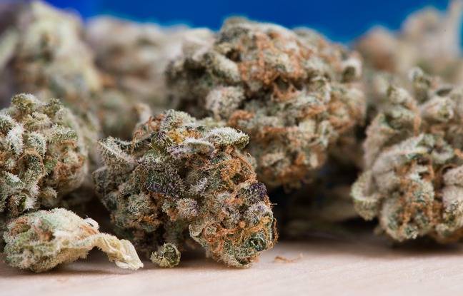 Orléans : Six personnes mises en examen pour avoir fait rentrer de la drogue en prison