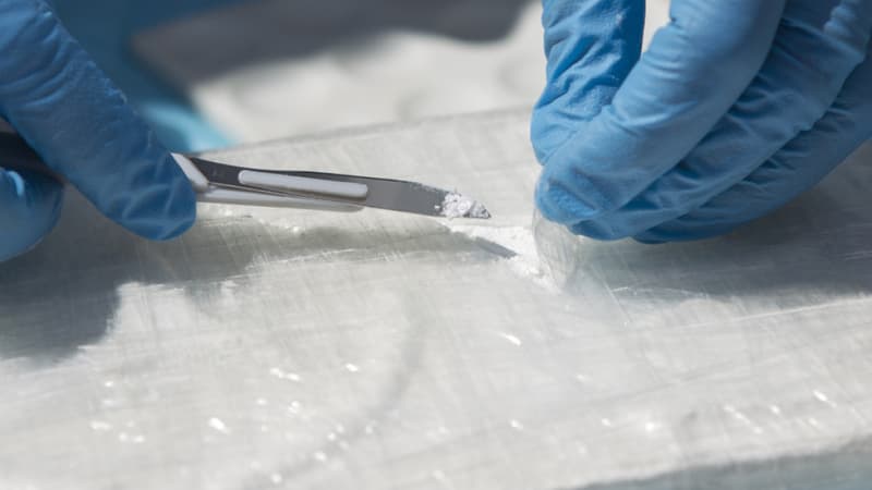 Vaucluse: la police démantèle un “réseau type Uber-coke”