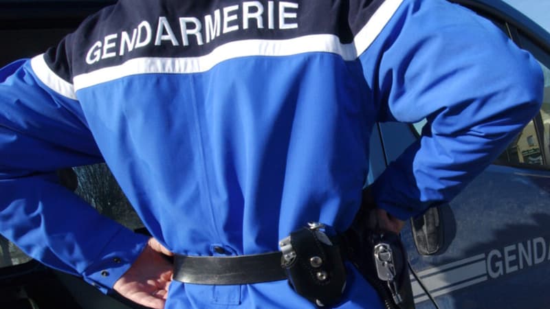 Joggeuse disparue en Mayenne: un homme placé en garde à vue