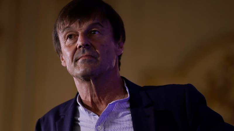 Quelles nouvelles accusations pèsent sur Nicolas Hulot?