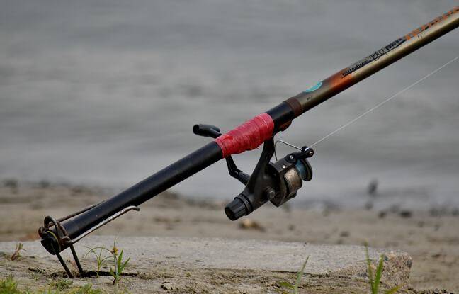 Territoire-de-Belfort : Deux voleurs de matériel de pêche interpellés