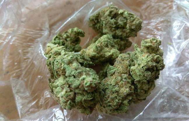 Halloween : Une enfant revient avec un joint de cannabis dans son panier à Boulogne-sur-Mer