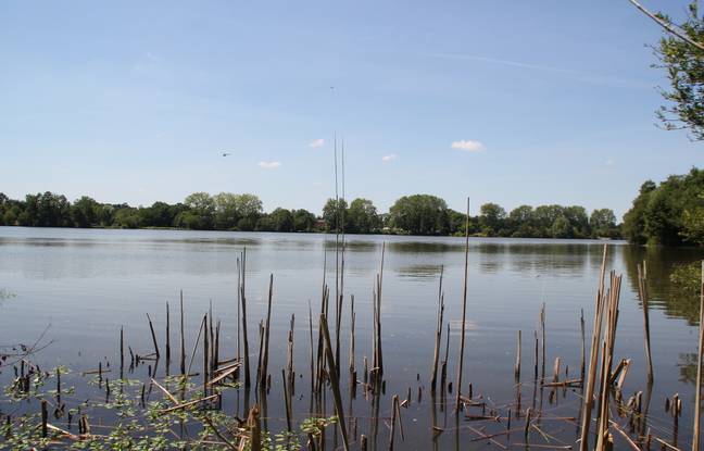 Moselle : Un pêcheur de 67 ans trouve la mort dans l’étang de Mittersheim