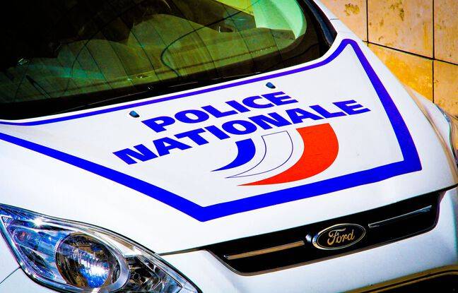 Paris : L’homme qui a tiré sur des passants sur les Champs-Elysées condamné à deux ans de prison ferme