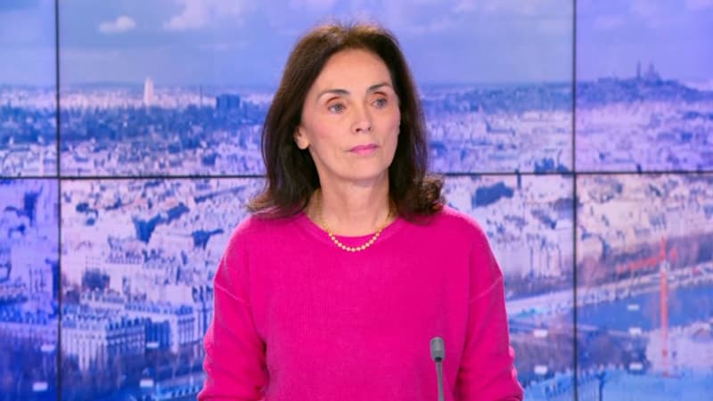 “Il n’y aura jamais de procès”: pour son avocate, Nicolas Hulot fait l’objet d’un “lynchage médiatique”