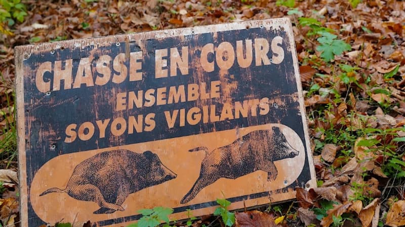 Indre-et-Loire: le véhicule d’un couple de retraités touché par la balle d’un chasseur