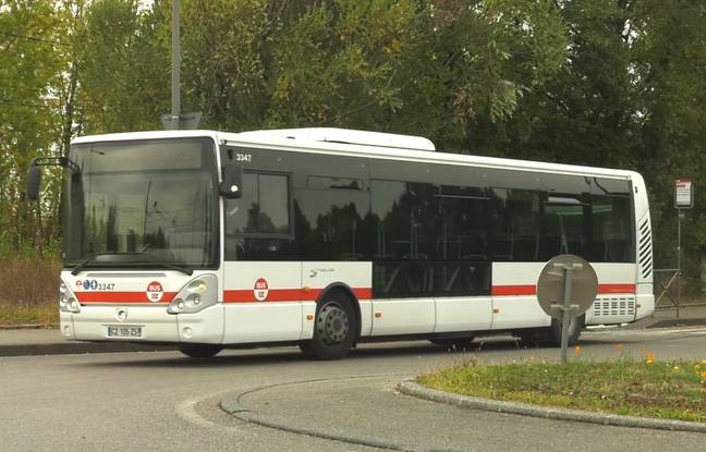 Villeurbanne : Deux collégiens arrêtés pour avoir frappé une passagère de bus avec une branche d’arbre et lui avoir craché dessus