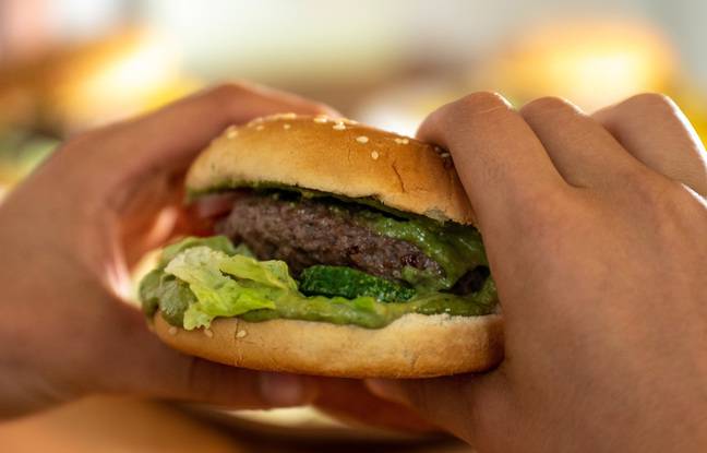 Pass sanitaire à Toulouse : Dans le fast-food, les policiers tombent sur neuf clients et deux gérants sans sésame