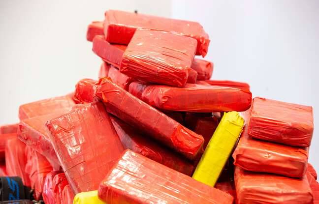 Pays-Bas : 1,6 tonne de cocaïne saisie dans le port de Rotterdam