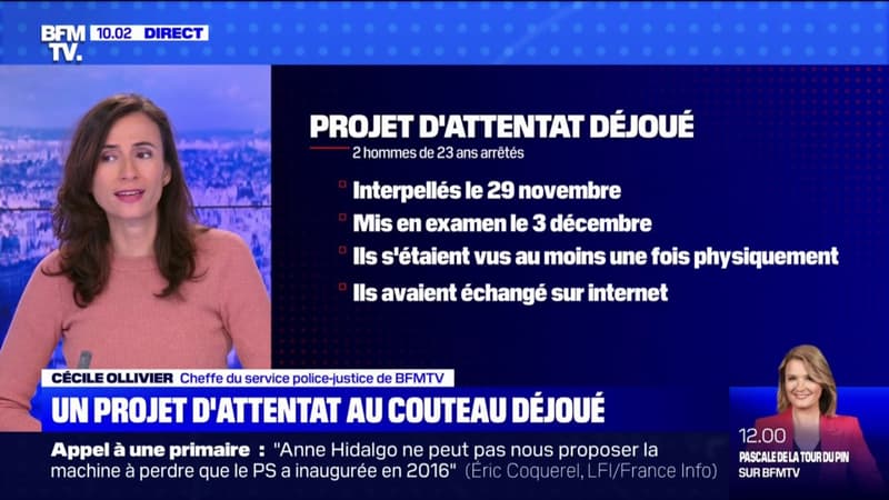 Ce que l’on sait du projet d’attentat au couteau déjoué