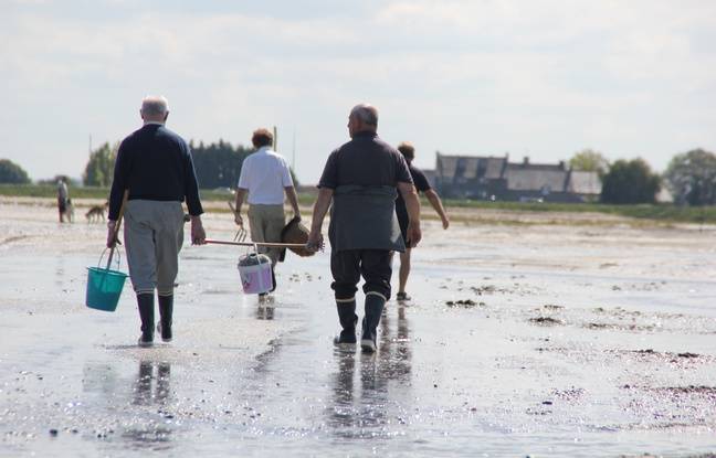 Côtes-d’Armor : Un pêcheur à pied retrouvé mort après une nuit de recherches