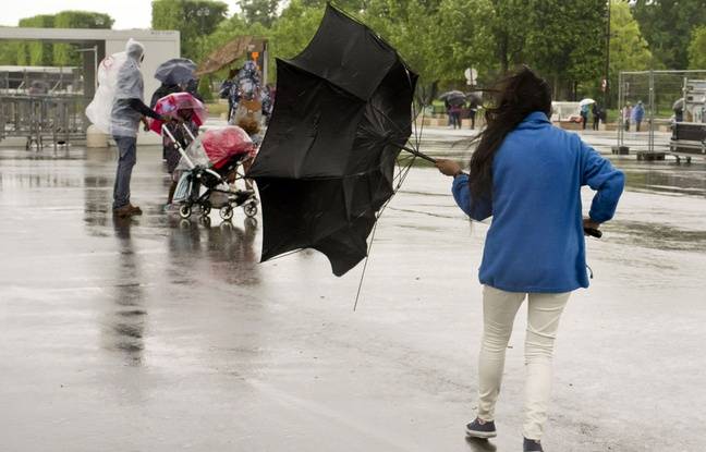 VIDÉO. Rafales de vent en Pays-de-la-Loire : une ligne électrique qui cède et plusieurs interventions des pompiers
