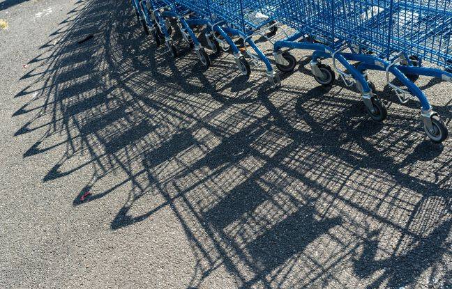 Nîmes : Des barrages de chariots installés dans un quartier pour protéger un trafic de drogue