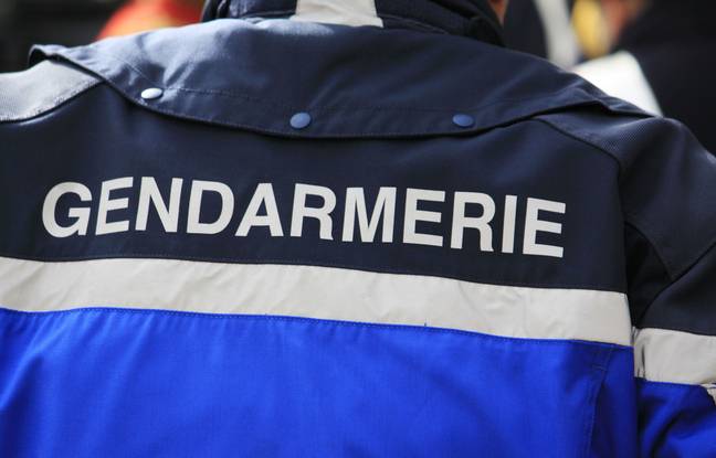 Vaucluse : Les gendarmes saisissent de la drogue et de l’argent, et arrêtent deux personnes