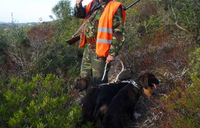 Haute-Savoie : Six mois ferme pour un chasseur qui avait grièvement blessé un promeneur