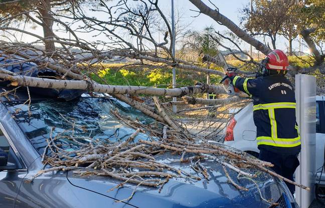 Nice : Cinq véhicules endommagés par un arbre tombé sur une station-service à cause du vent