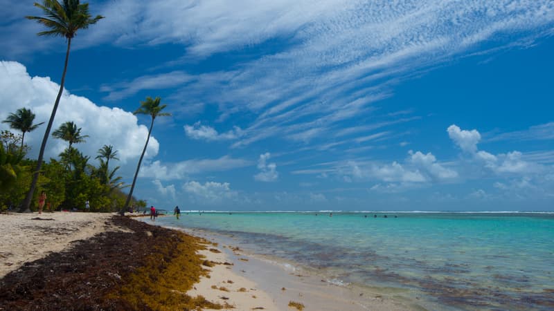 Martinique: un hors-bord transportant 680 kg de cocaïne intercepté lors d’un “go fast”