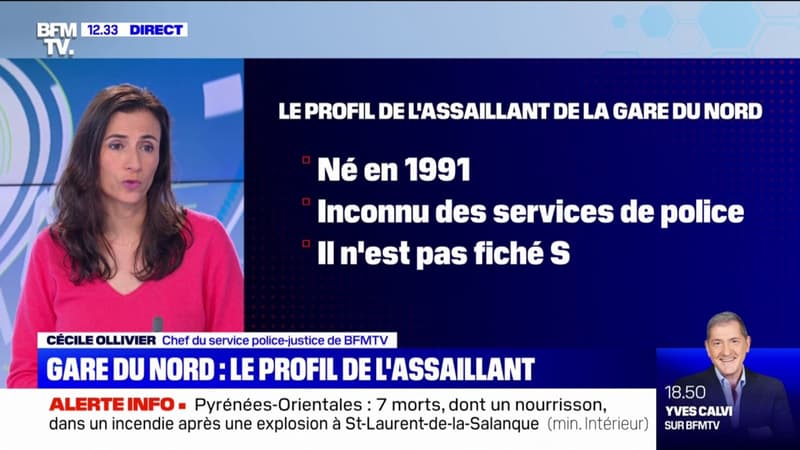 Quel est le profil de l’assaillant abattu à la Gare du Nord ce lundi?