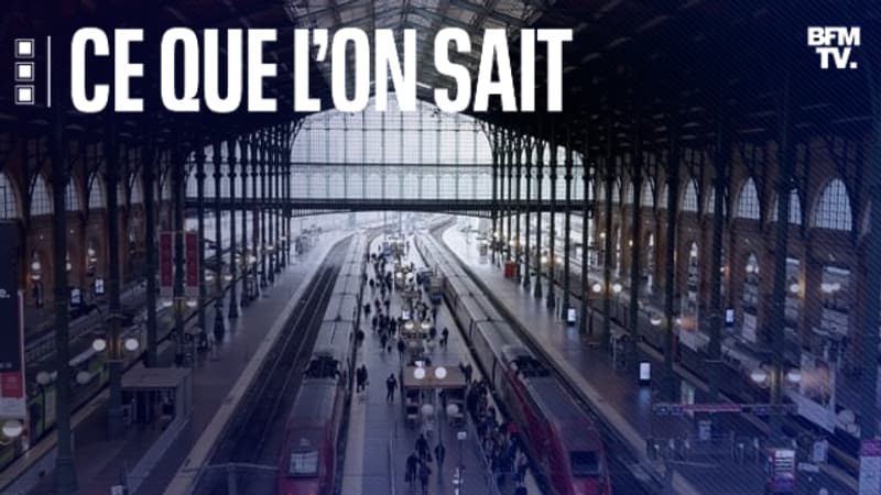 Ce que l’on sait de l’assaillant abattu par deux policiers à la gare du Nord à Paris