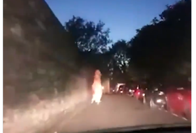 Insolite – Les policiers pris d’un fou rire en pourchassant un dinosaure en fuite