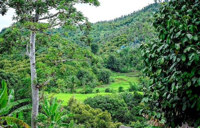 Madagascar : Des randonneurs et leur bébé de deux ans meurent dans des inondations
