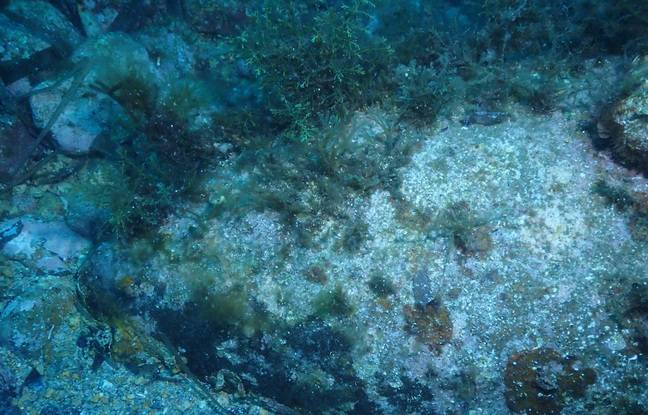 Corse : Une bombe allemande de la Seconde Guerre mondiale déminée au large d’Ajaccio