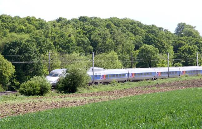 Brest : La thèse de l’accident privilégiée après la mort d’un ado, fauché par un train
