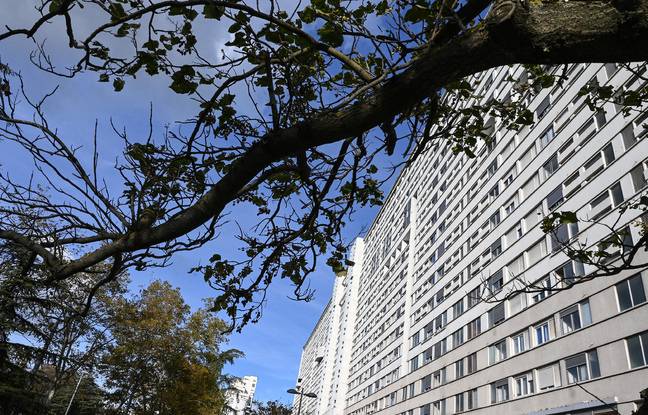 Lyon : Une enquête pour « tentative d’assassinat » ouverte après les échanges de coups de feu à la Duchère